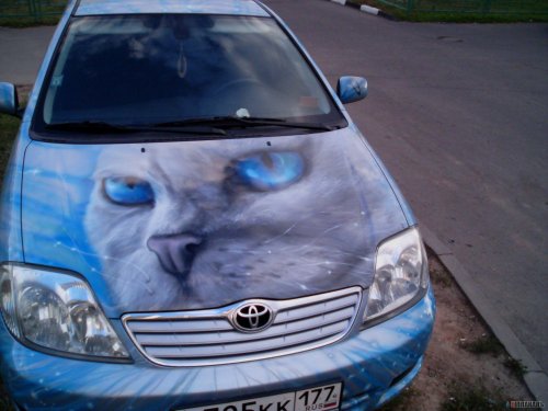 аэрография 008