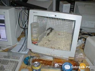 Компьютер 014