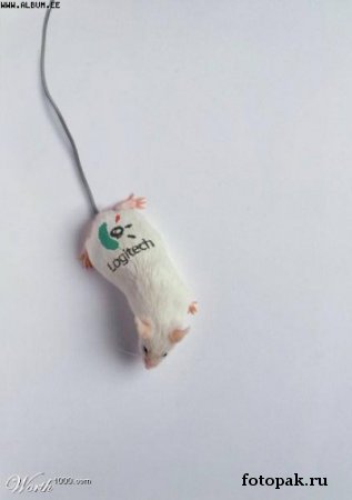 Компьютер 016