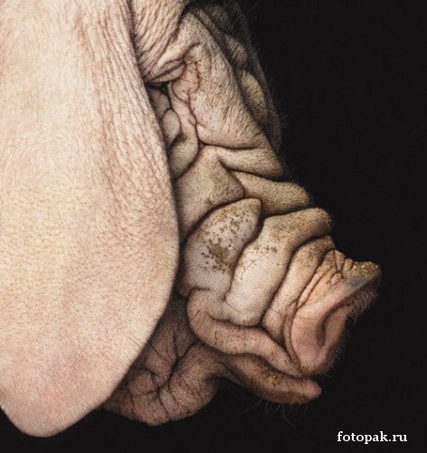 с большого бодуна