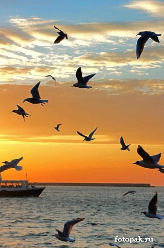 Путешествия 006