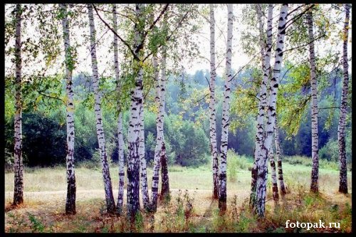 Путешествия 007