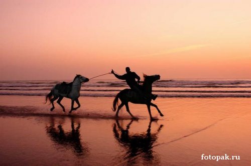 Путешествия 008