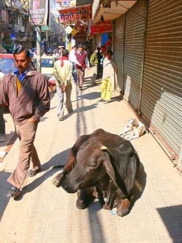 Путешествия 016