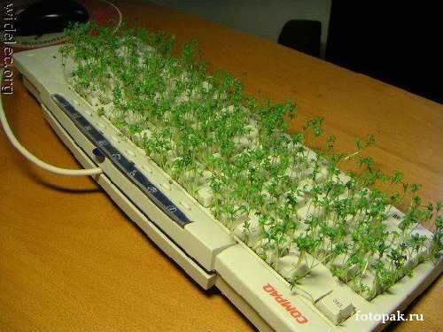 Компьютер 087