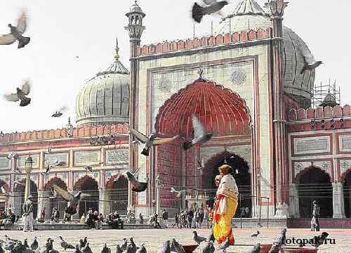 Путешествия 028