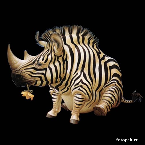 татуировки103